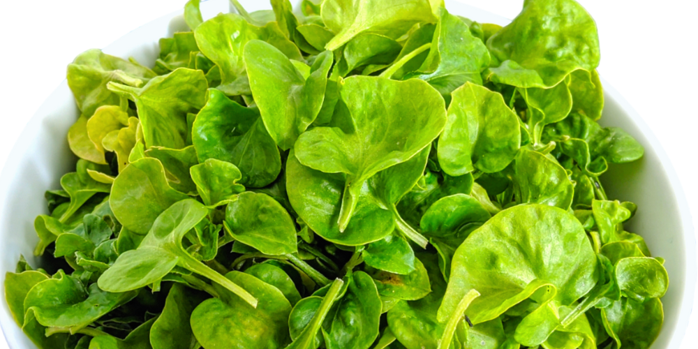Exploring the Versatility of Brazilian Spinach: A Hidden Gem in the Culinary World