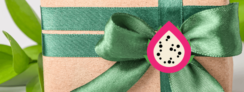 How to care for posted plants - Rare Dragon Fruit