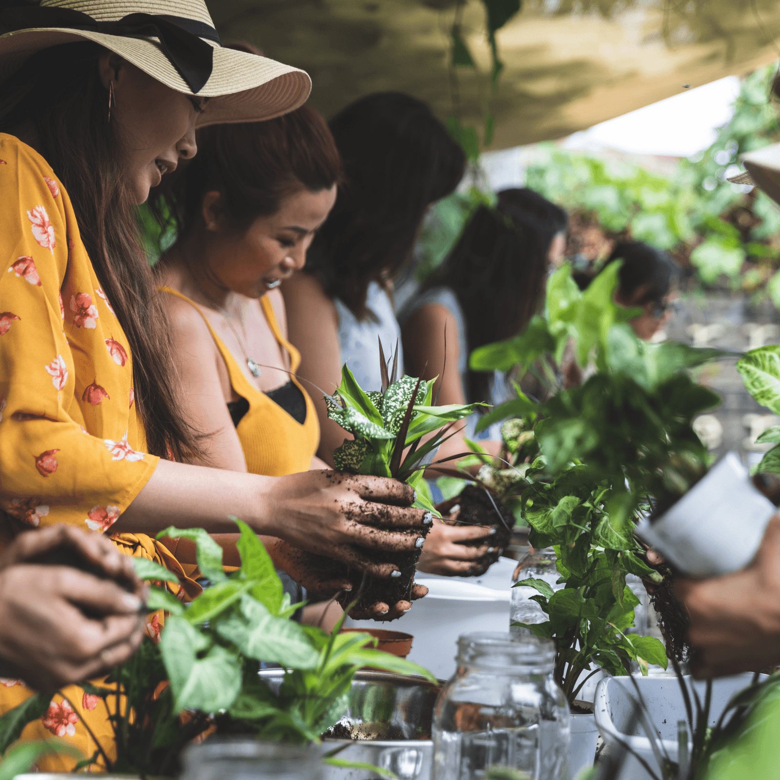 Upcoming Workshop calendar Term 2, 2023 - Rare Dragon Fruit