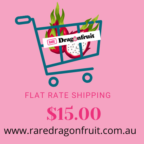 Thai Red Royal Blood USA dragon fruit - Rare Dragon Fruit