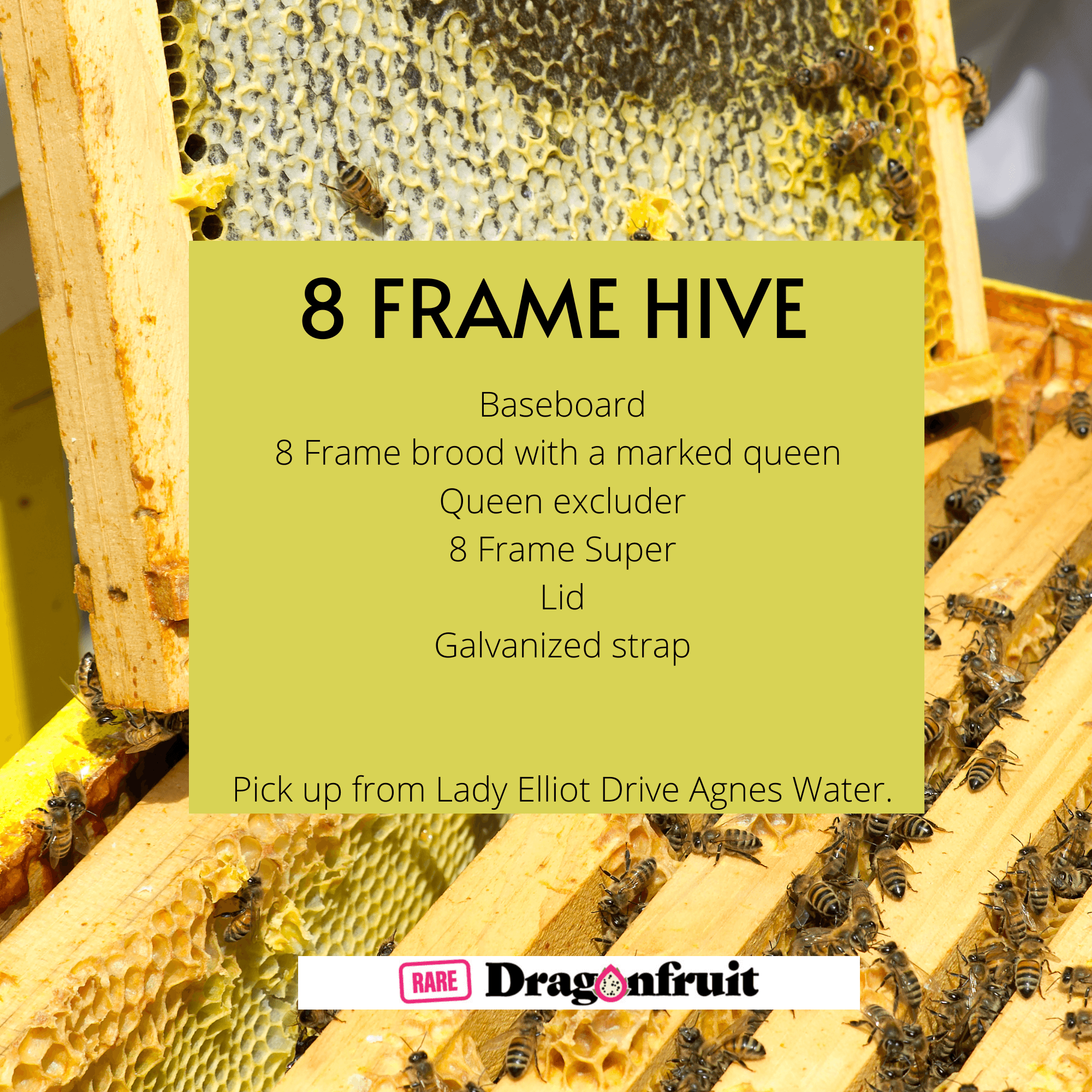 8 Frame Hive with Super - Rare Dragon Fruit