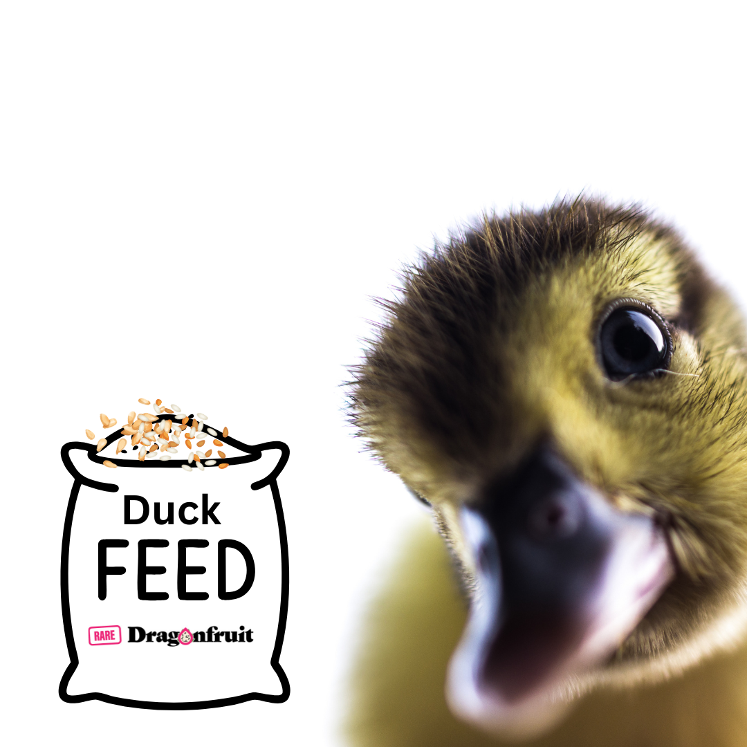 Duck Mash - For feeding ducklings