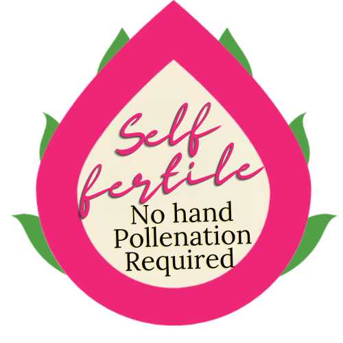 Crystal Creek Dragon Fruit - Rare Dragon Fruit