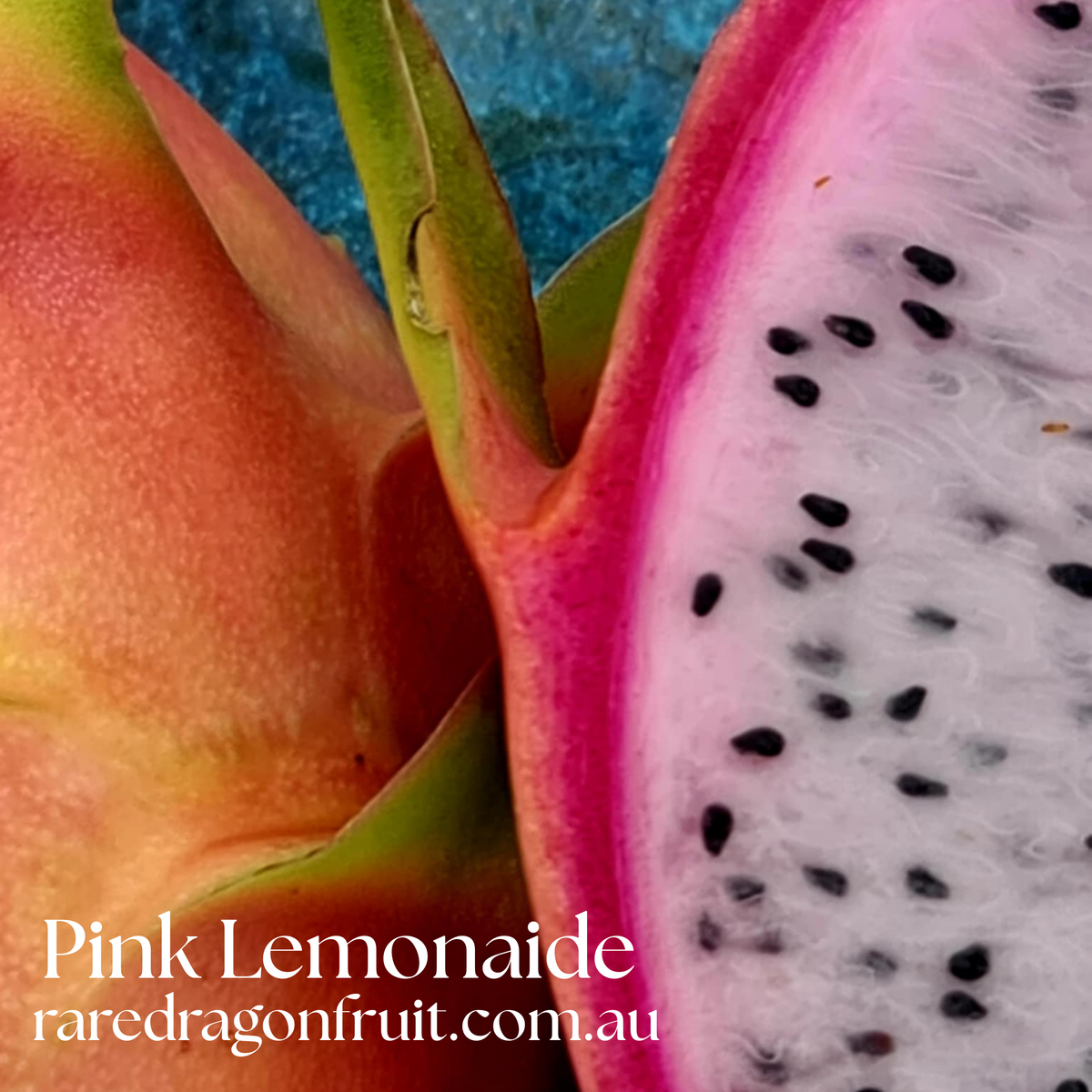 Pink Lemonade Dragon Fruit