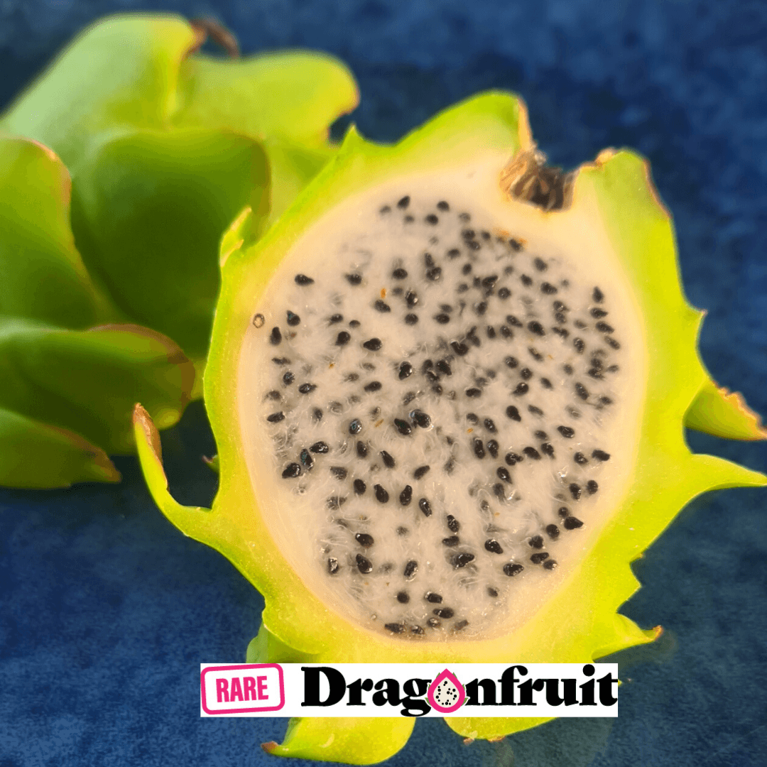 Yellow Dragon Fruit, 1 ct - King Soopers