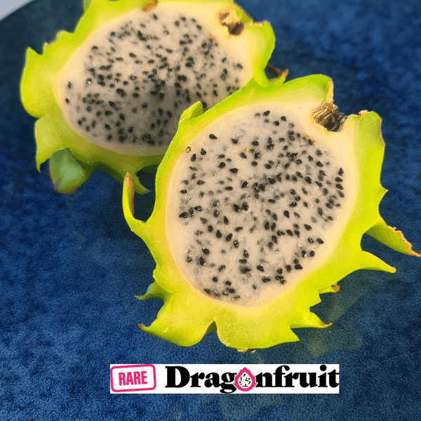 Yellow Dragon Fruit, 1 ct - King Soopers