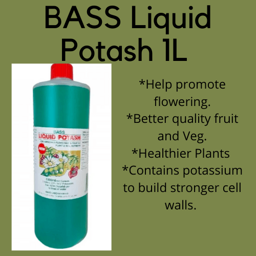 Liquid Potash 1L - increase flowering of dragon fruit and fruit trees - Rare Dragon Fruit