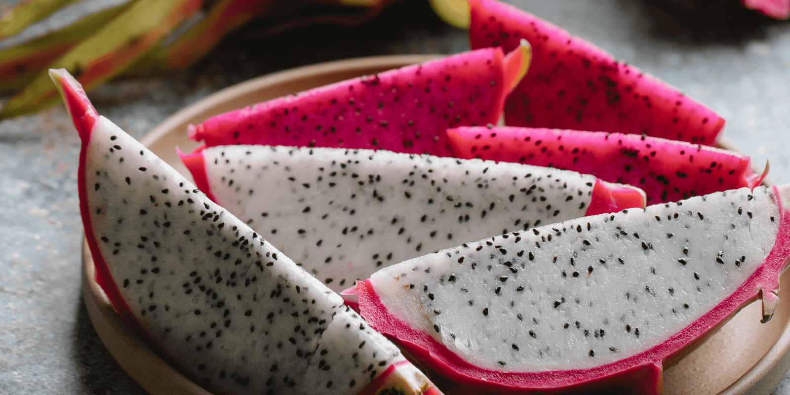 2016- Updated Information Pitaya / Dragon Fruit Production, research and industry update - Rare Dragon Fruit
