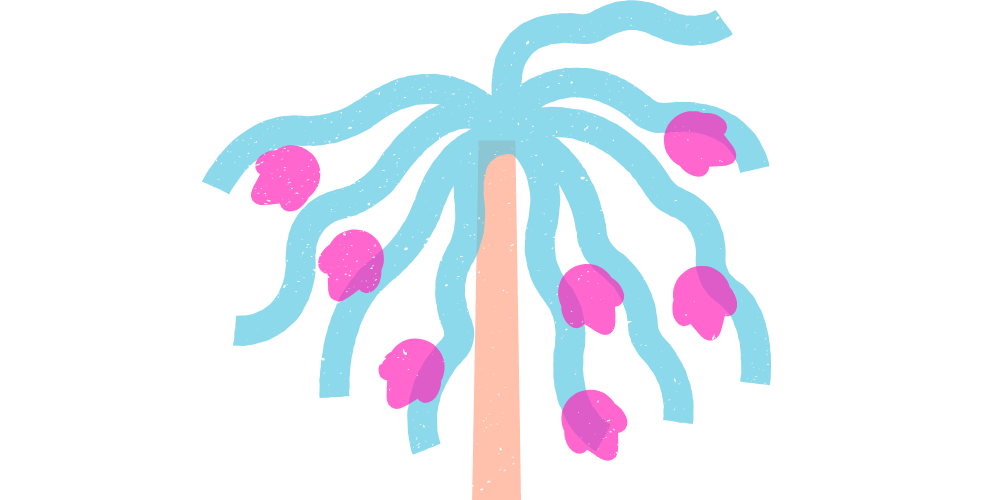 Can you explain the scientific classifications of dragon fruit