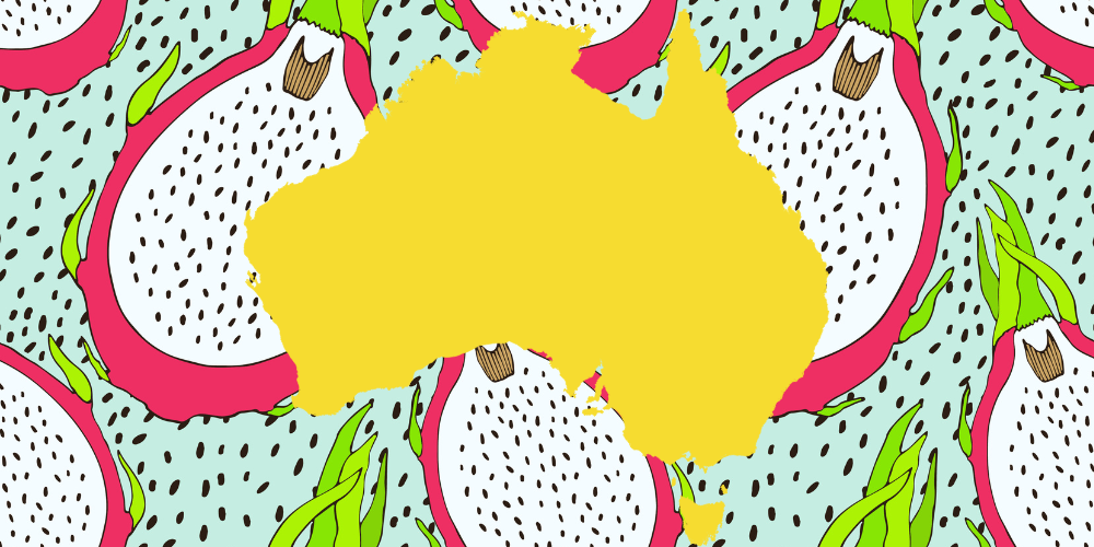 How to grow Dragon Fruit in Australia May 2024 Update - Rare Dragon Fruit