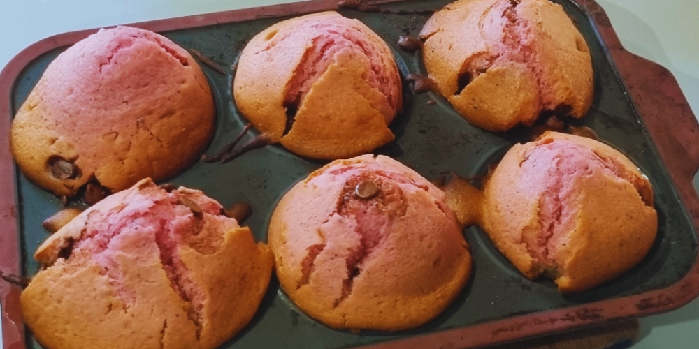 Dragon Fruit Choc Chip Muffin Recipe - Rare Dragon Fruit