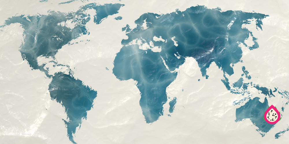 Can Rare Dragon Fruit Post Cuttings Overseas?
