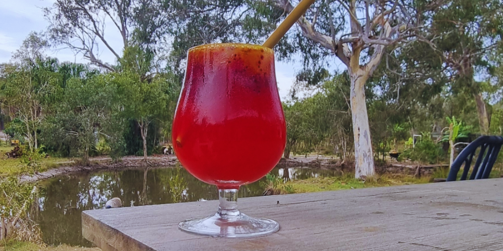 Dragon Fruit Mimosa Recipe