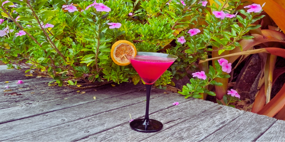 Dragon Fruit Martini Recipe
