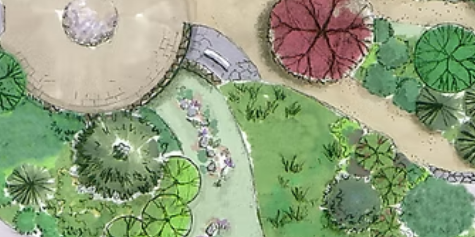 The Shed Organics Dragon Fruit Podcast