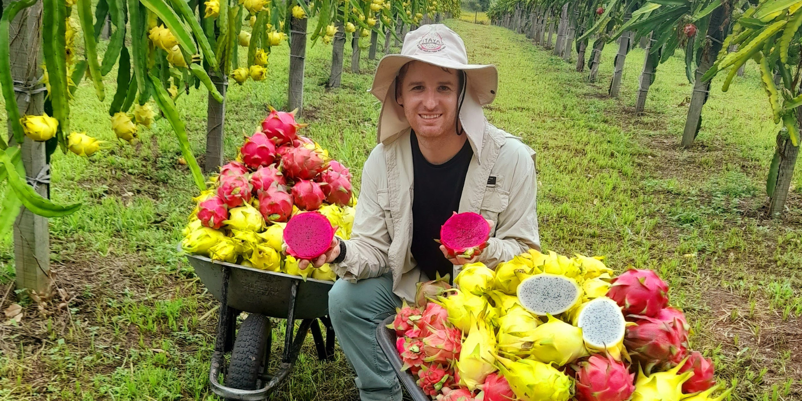 Dragon Fruit Across Borders: A Conversation with Pitayas SC, Brazil