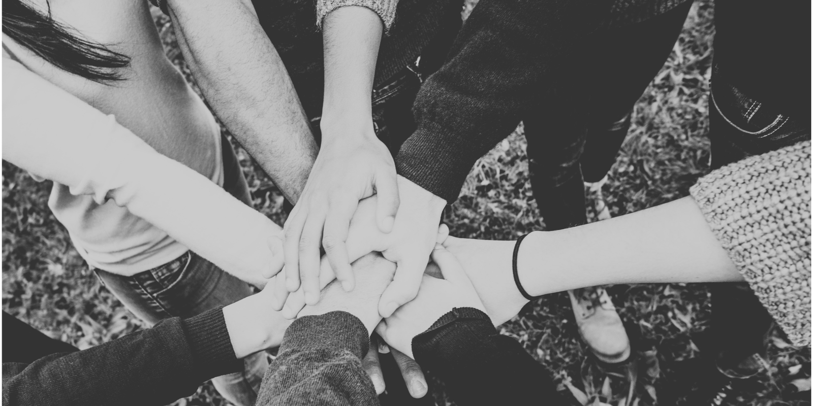 Come Join Us – Get Involved in the Dragon Fruit Farm