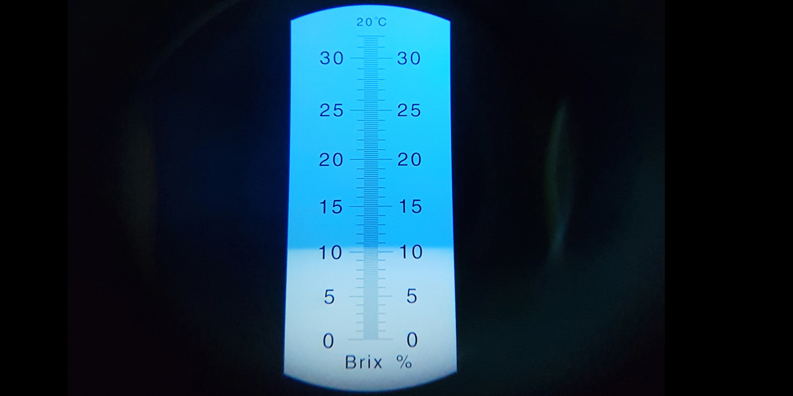 Measuring Brix & Understanding Flavour in Dragon Fruit