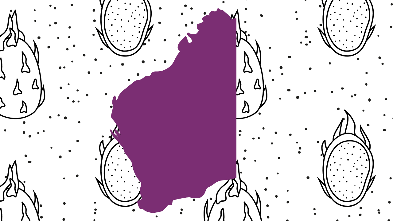 A journey of Western Australia  Dragon fruit grower. Simon Boyle.