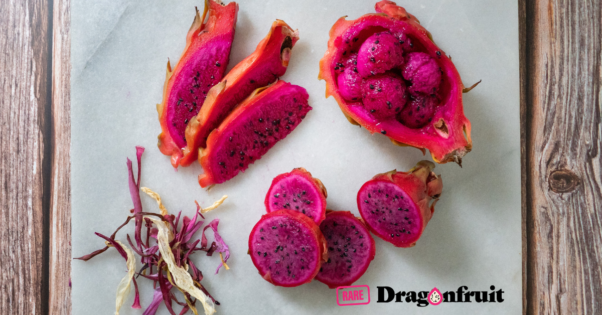 Explore a Dragon Fruit Farm – Open by Appointment!