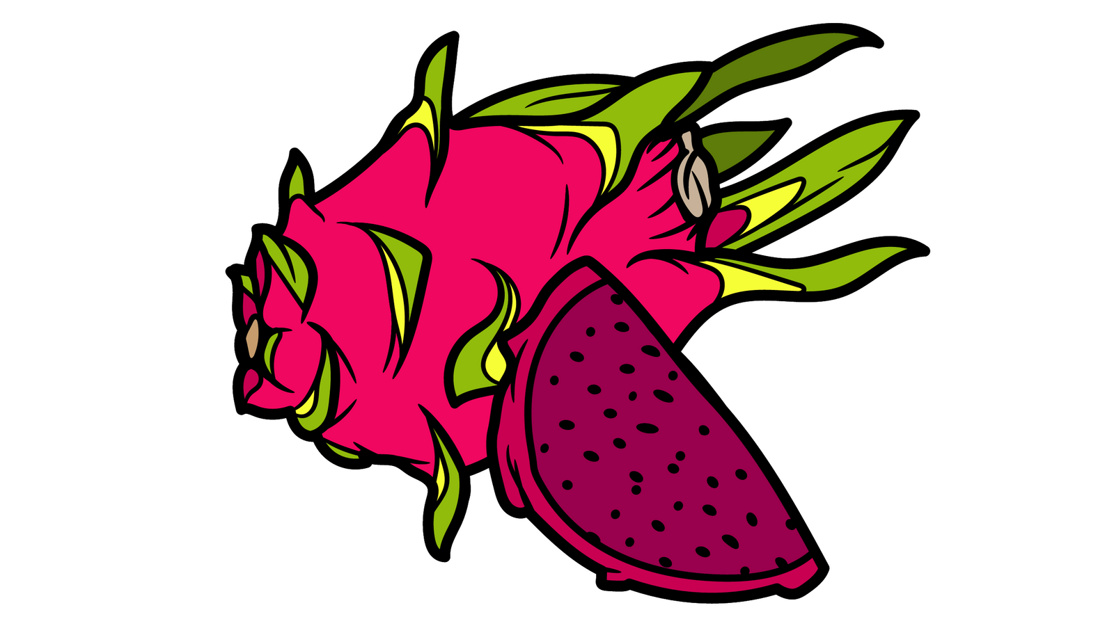Simple Dragon fruit growing information