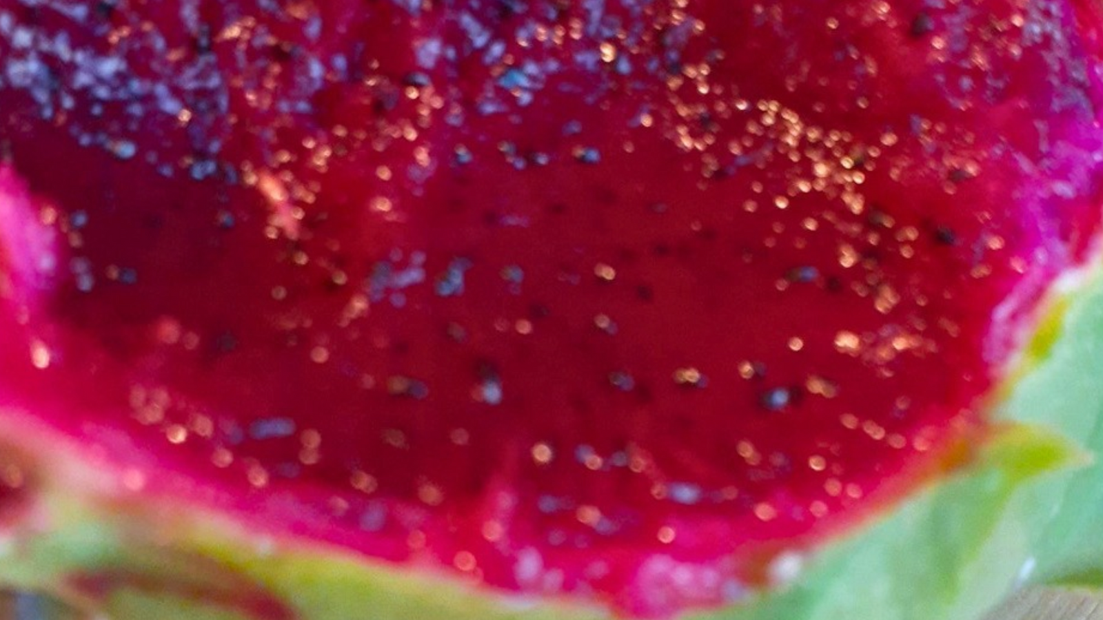 New Dragon Fruit Varieties at Rare Dragon Fruit