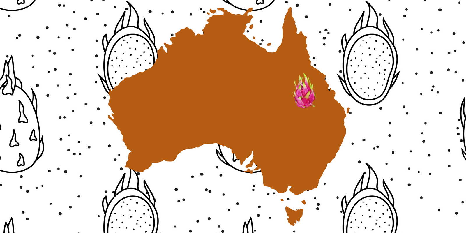 Growing dragon fruit in Emerald in Central Queensland