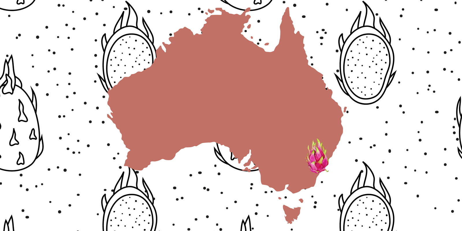 Growing Dragon fruit in Sydney