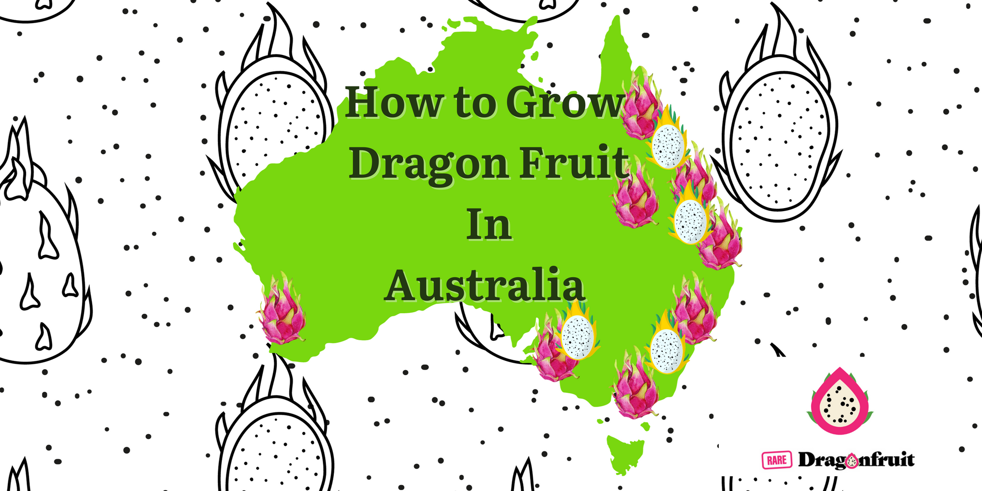 Growing Dragon Fruit in Australia the Experiment