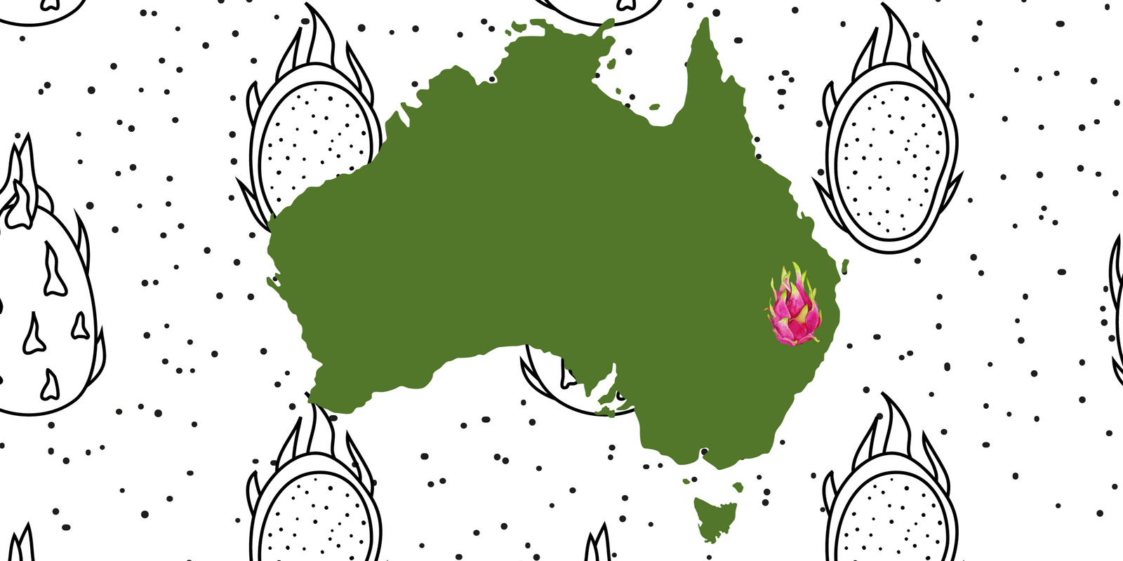 Growing Dragon fruit in Northern NSW