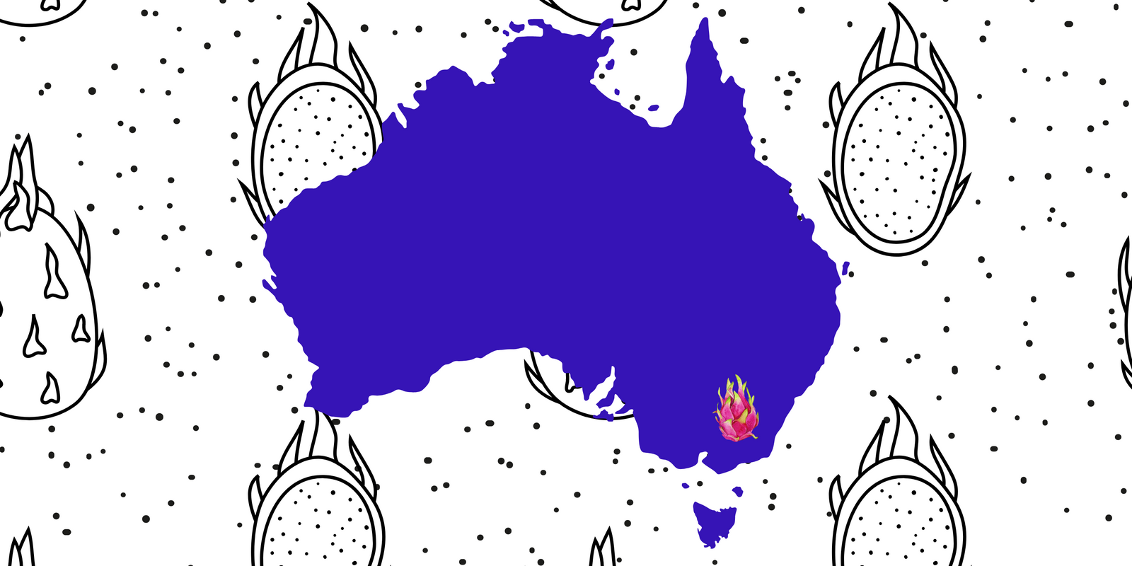 Growing Dragon fruit in Temora Southwest NSW