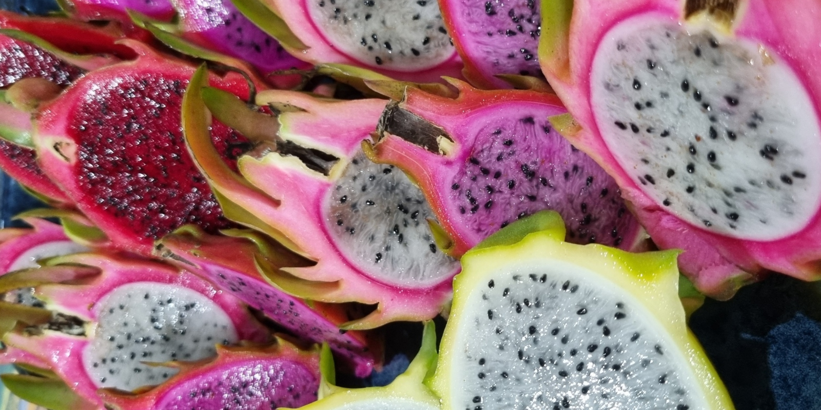 We recomend creating garden diversity to minimize hand pollenation.