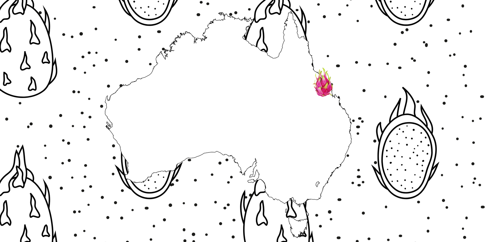Growing Dragon fruit In Rockhampton Queensland