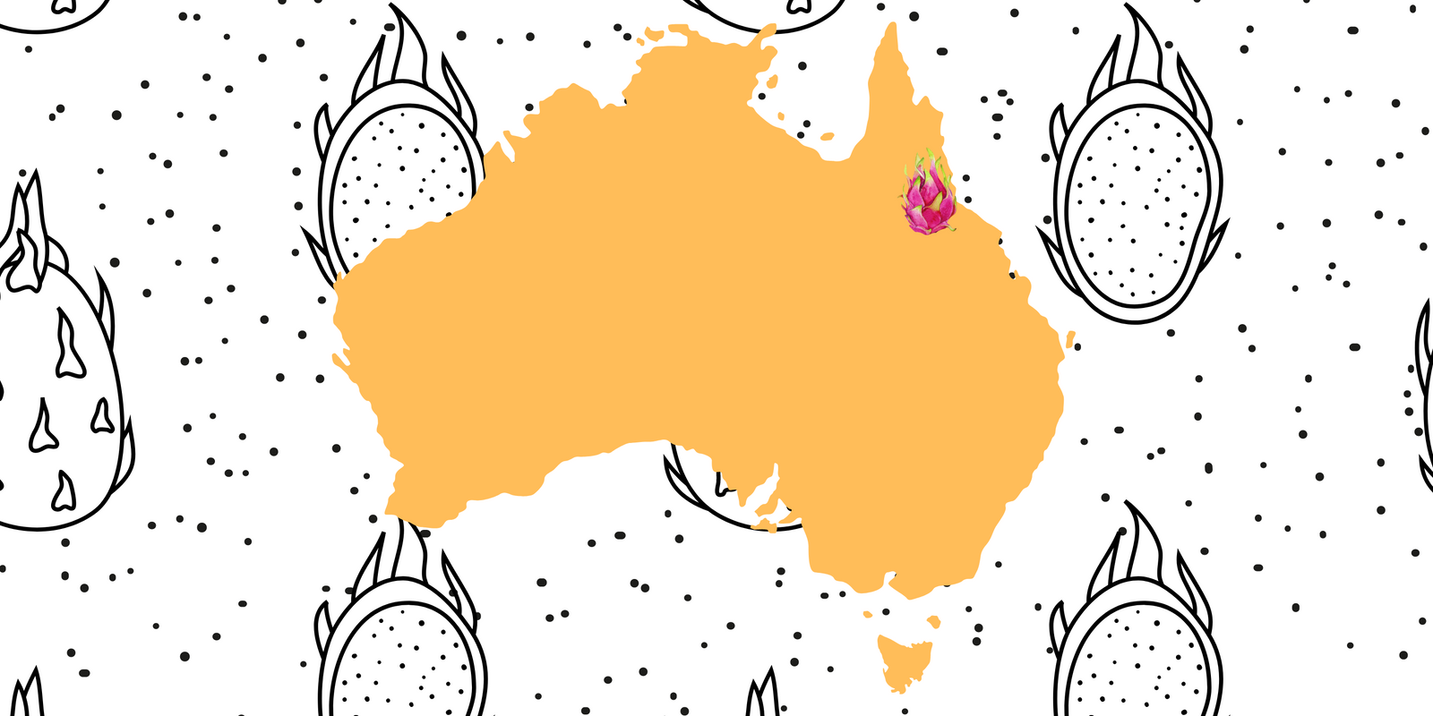 Growing Dragon fruit in Far North Queensland