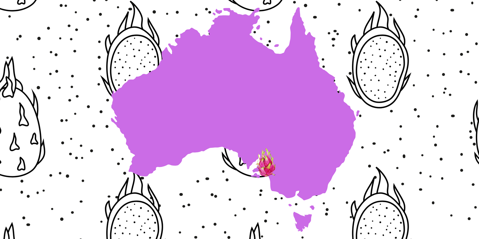 Growing Dragon Fruit in Pasadena, South Adelaide Foothills