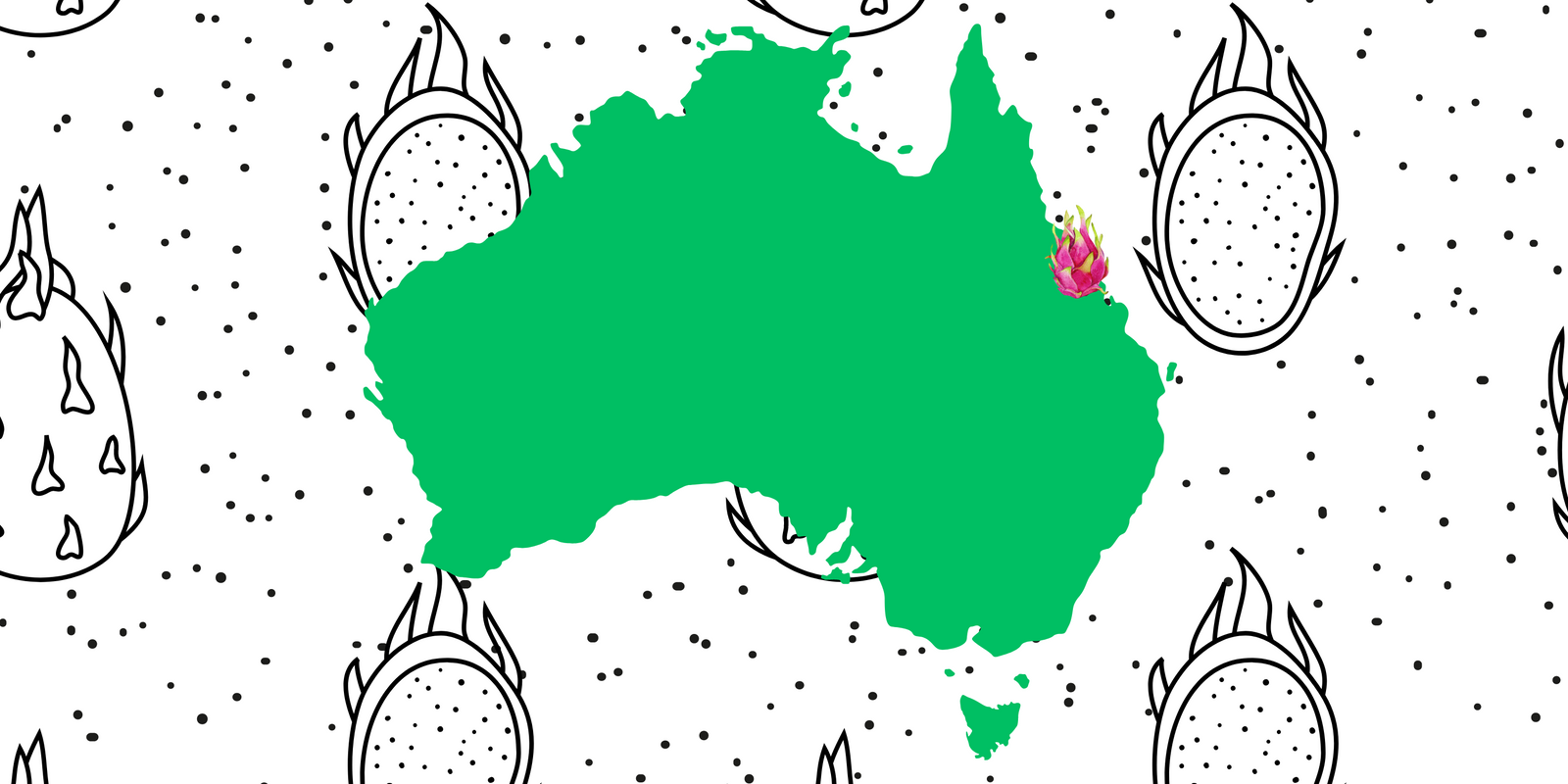 Growing dragon fruit in Innisfail Tropical North Qld