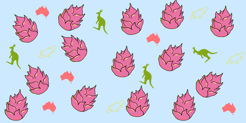 Dragon fruit growing guide for Australian climate zones