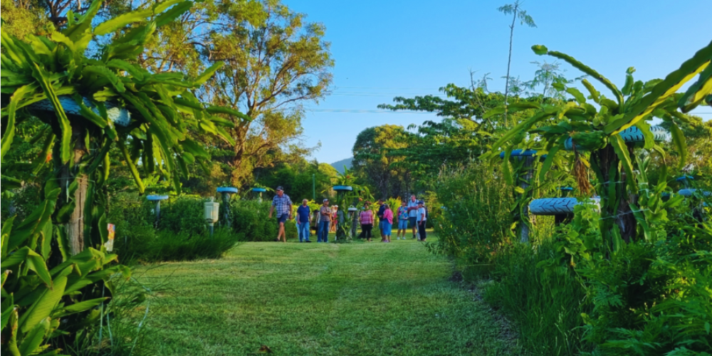 1-on-1 dragon fruit growing lesson at Rare Dragon Fruit farm in Agnes Water Queensland