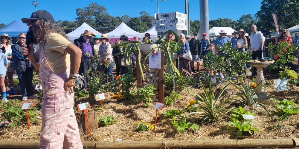 Qld Garden Show 2025 - Rare Dragon Fruit