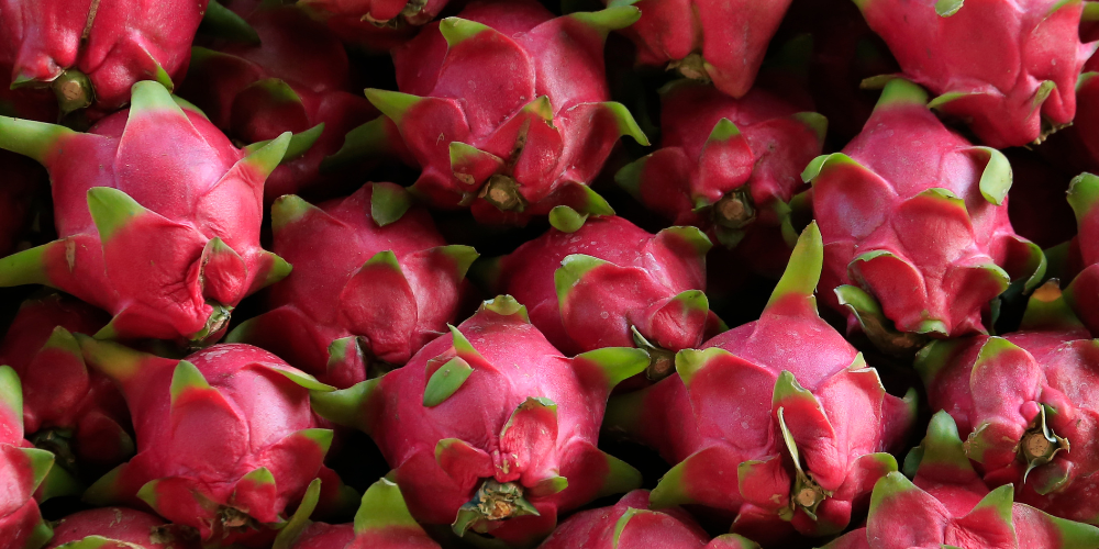Australian Dragon Fruit Growers Association