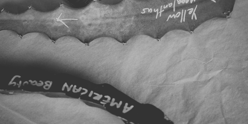 The best time to plant a dragon fruit cutting