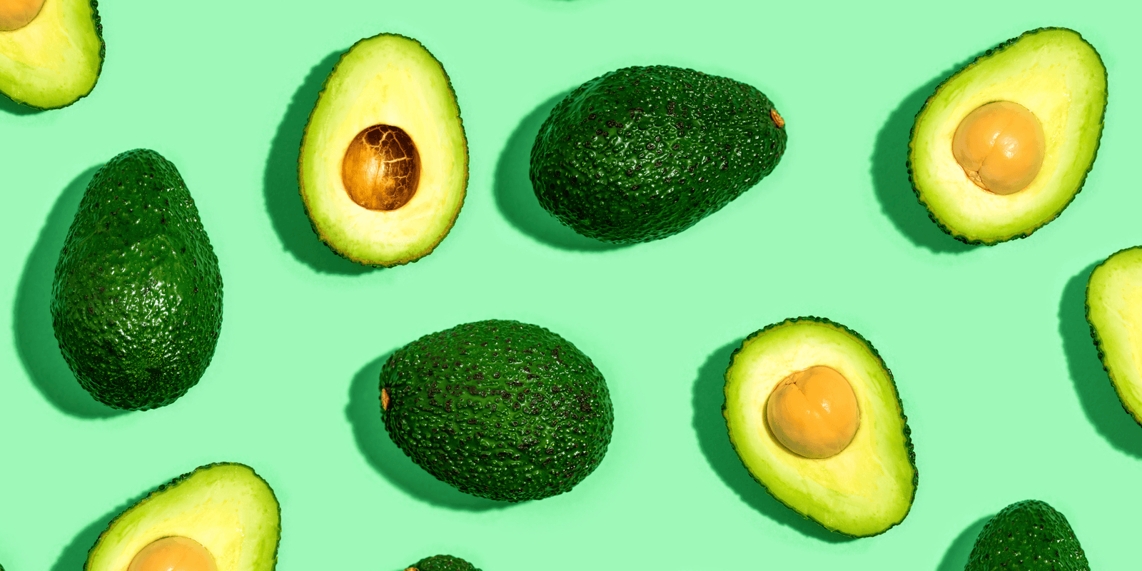 Growing Avocado Trees - Rare Dragon Fruit