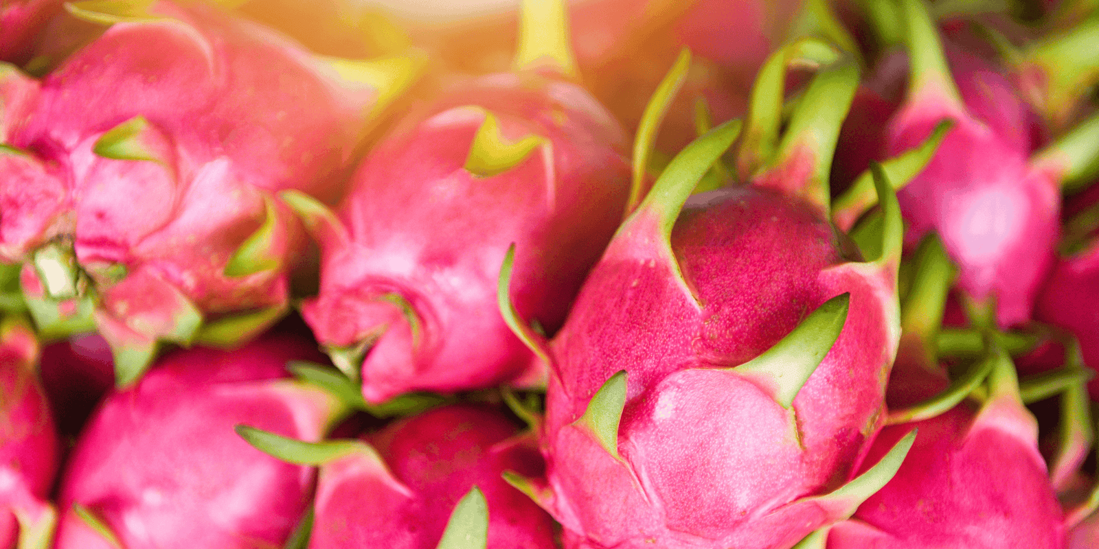 How to buy the best quality dragon fruit to eat. - Rare Dragon Fruit