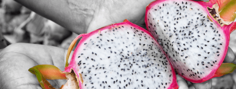 Other names for dragon fruit and a short history. - Rare Dragon Fruit