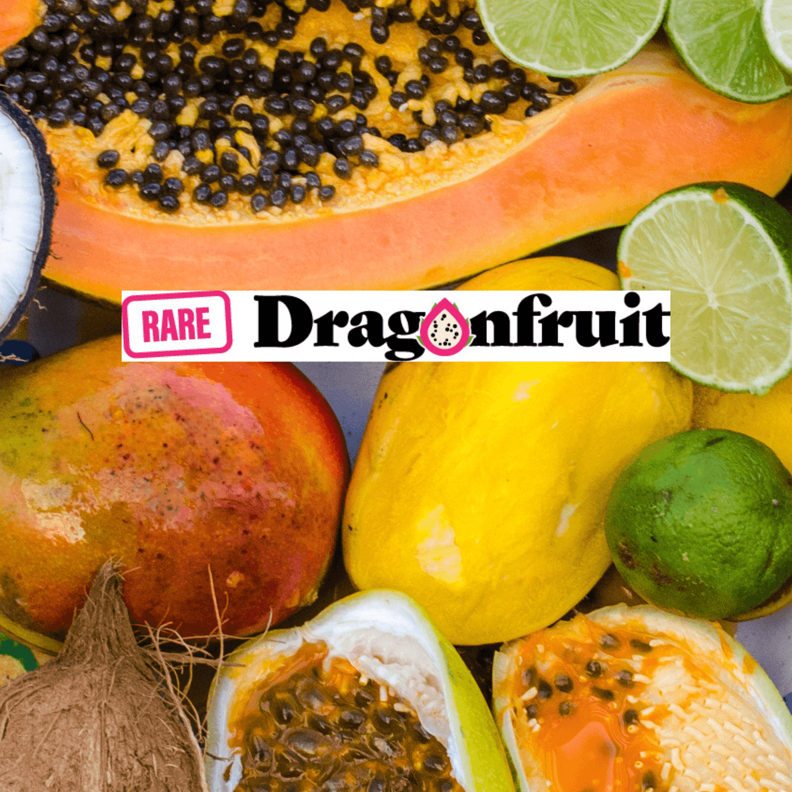 Pre Order Fruit Tree List - Pick Up Only - Rare Dragon Fruit