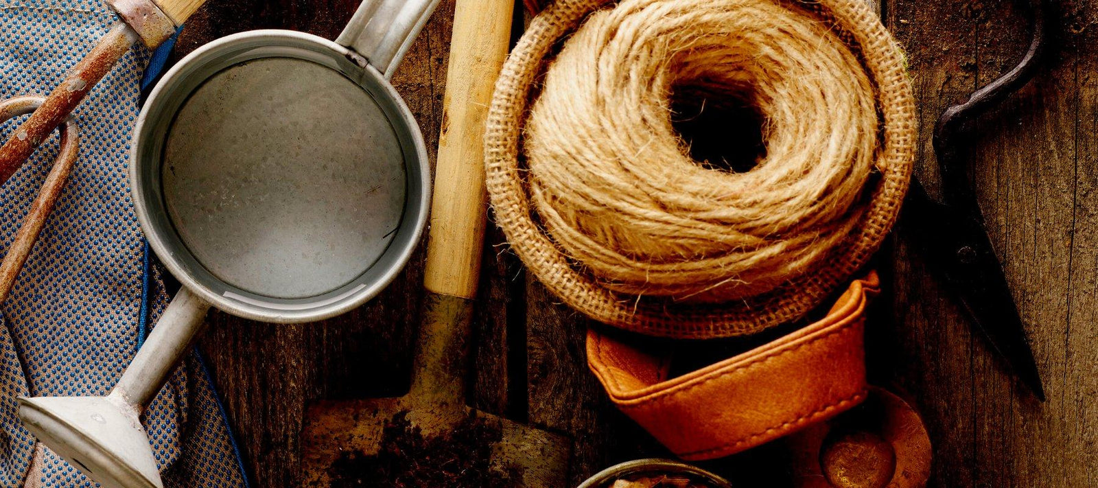 Growing Products - Rare Dragon Fruit