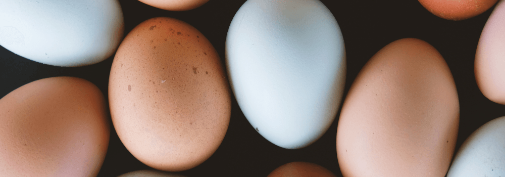 Poultry - Rare Dragon Fruit