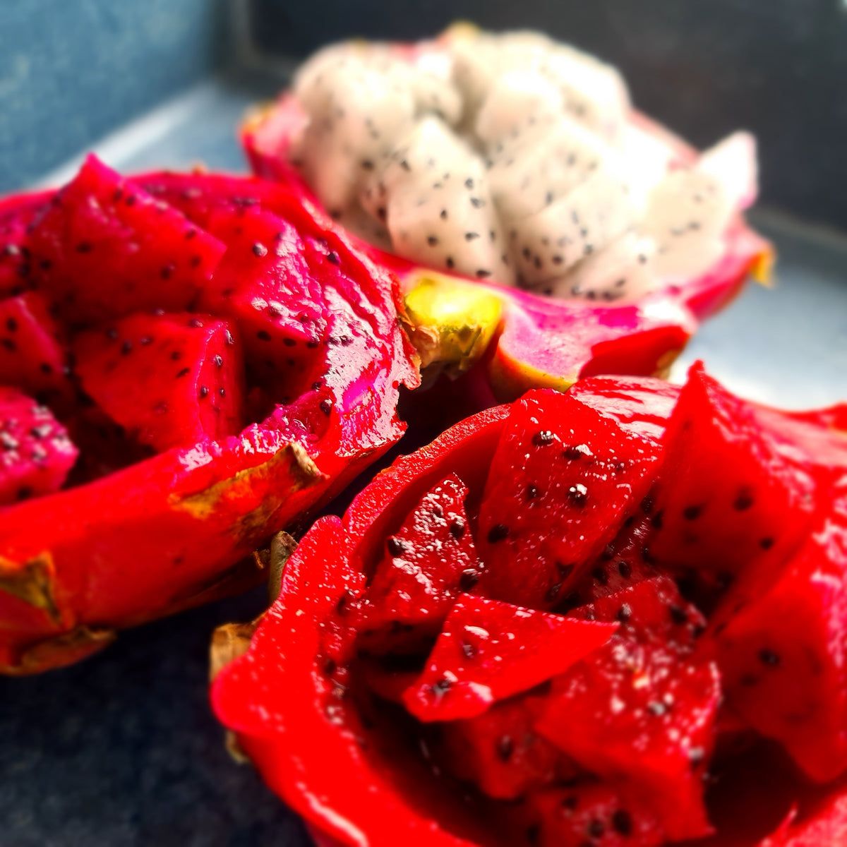 How to get Your Dragon Fruit Cactus to Fruit How to get Your Dragon Fruit Cactus to Fruit