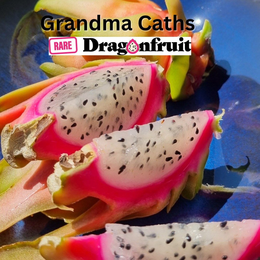 Grandma Cath's Dragon Fruit NOID - Rare Dragon Fruit