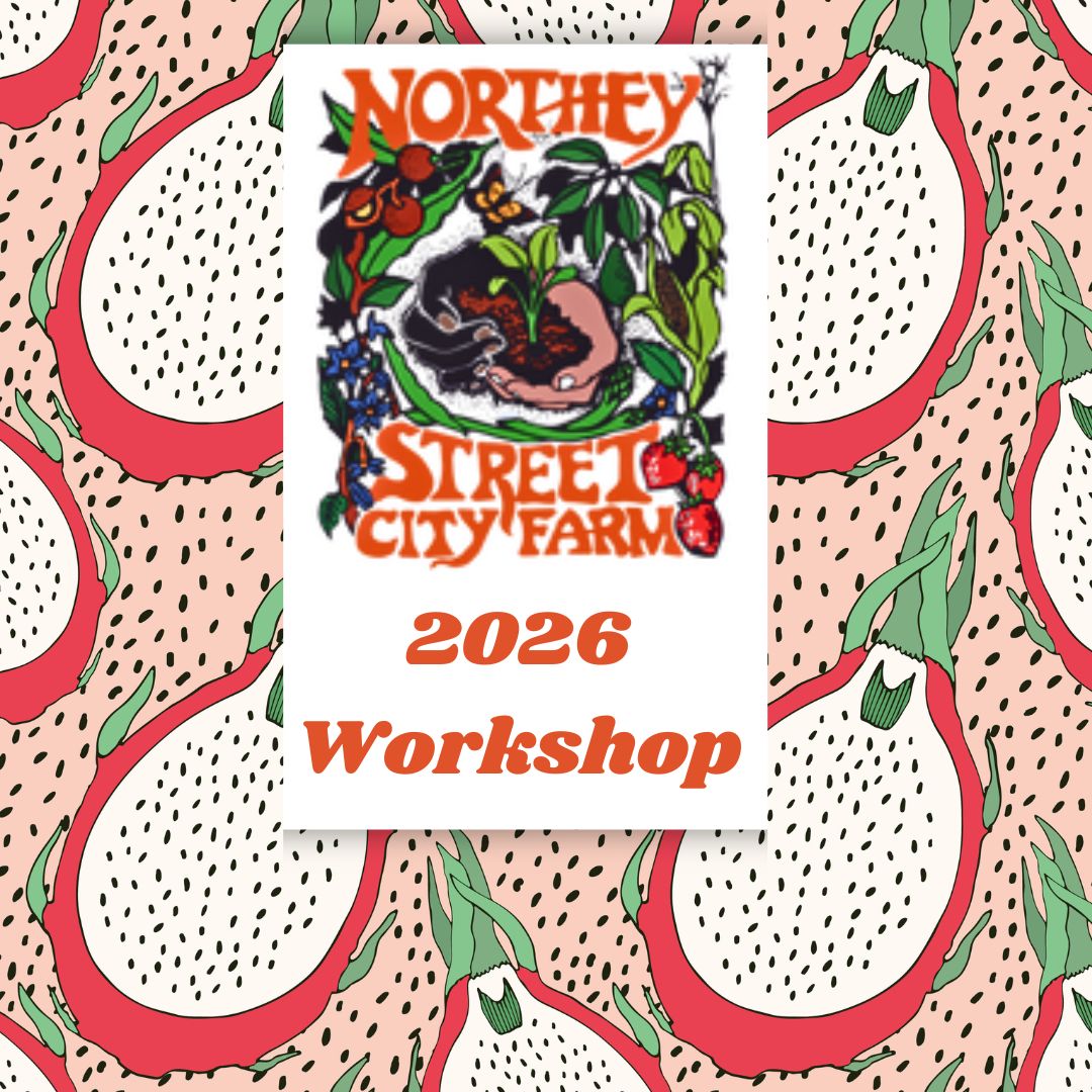 2026 Brisbane Dragon Fruit Workshop
